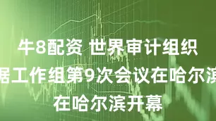 牛8配资 世界审计组织大数据工作组第9次会议在哈尔滨开幕